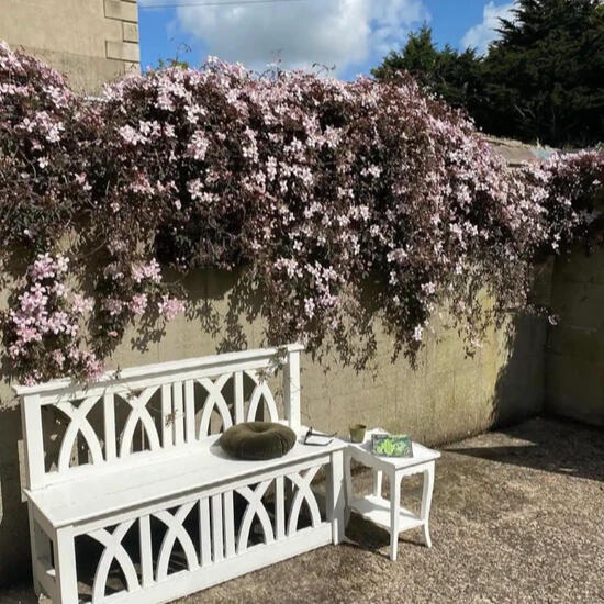 Bench in the entrance courtyard